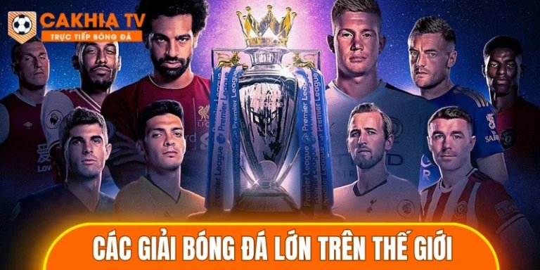 các giải bóng đá lớn trên thế giới