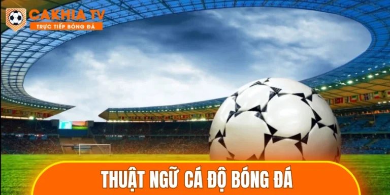 Thuật ngữ cá độ bóng đá